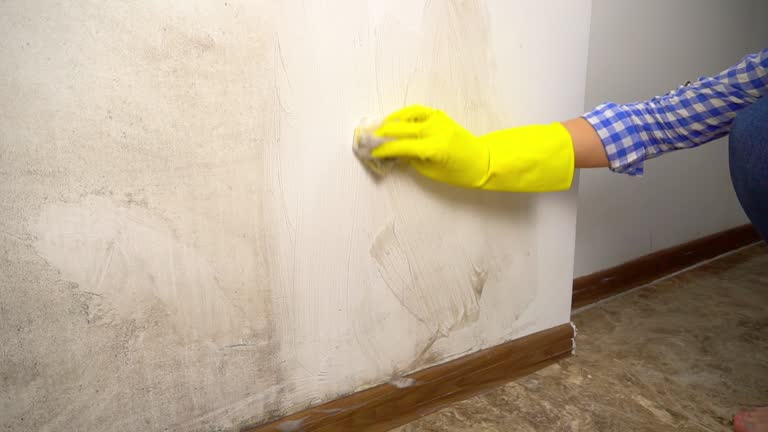 Mold Remediation for Vacation Homes in Anna, TX